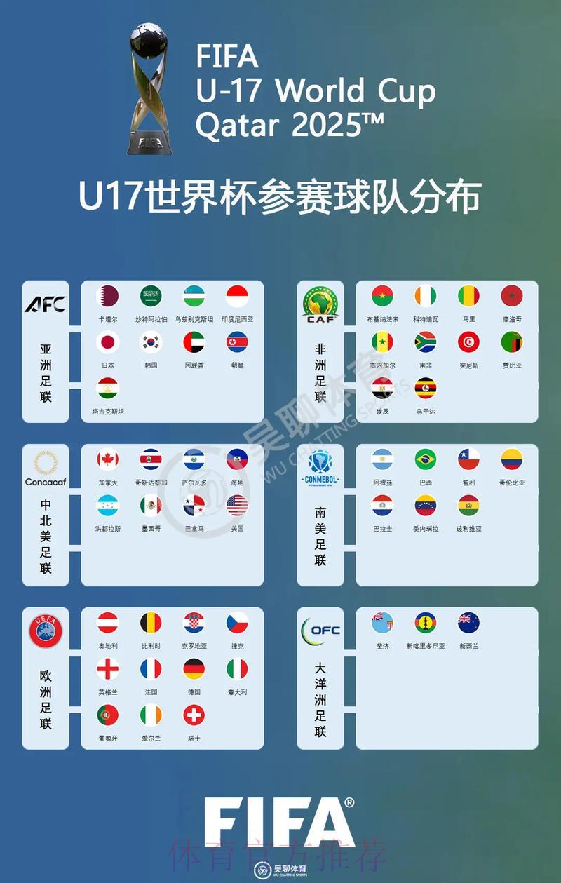 深度剖析世界杯参赛球队数据全貌