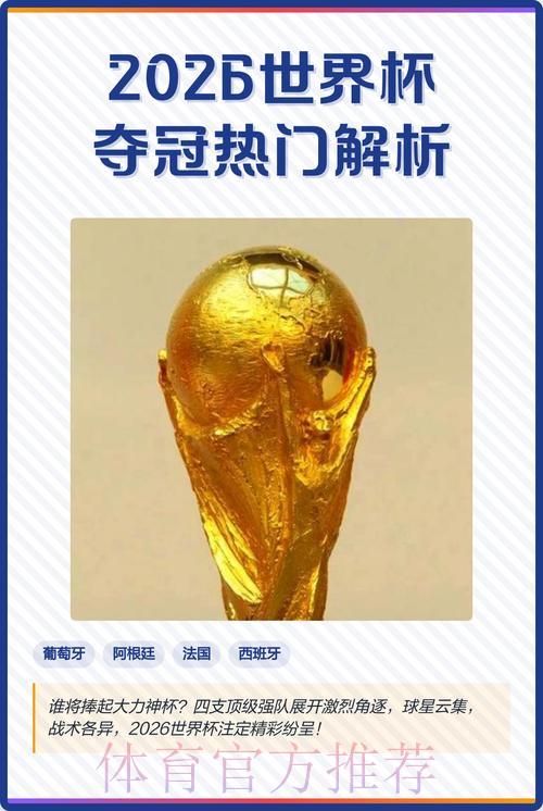 世界杯夺冠热门队伍投注策略深度解析 世界杯夺冠热门队伍投注策略深度解析